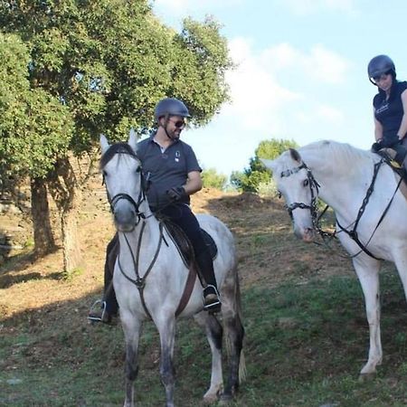 Affittacamere Arrabia Bunga Payva Raiva Esterno foto