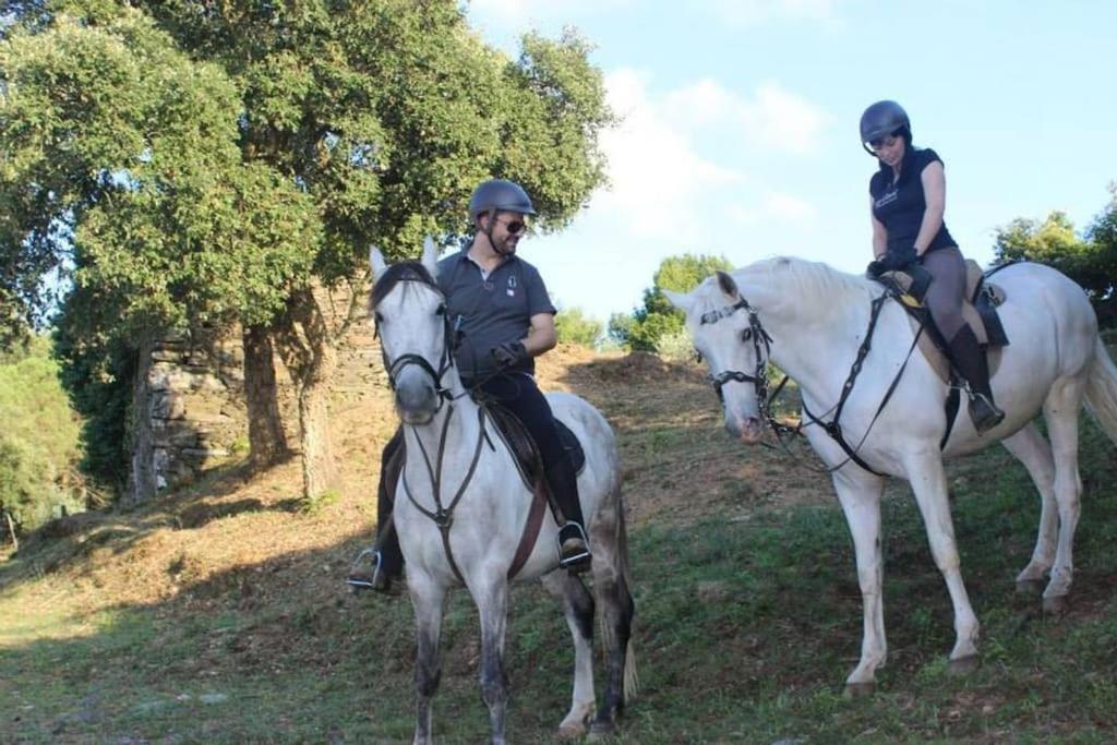 Affittacamere Arrabia Bunga Payva Raiva Esterno foto